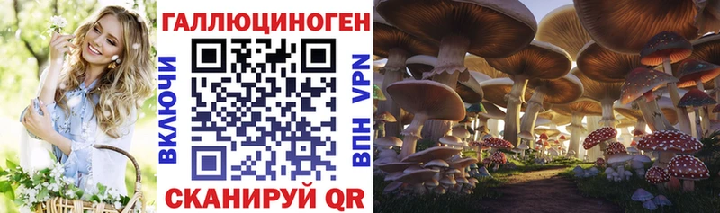 Галлюциногенные грибы Psilocybine cubensis  сколько стоит  Кушва 